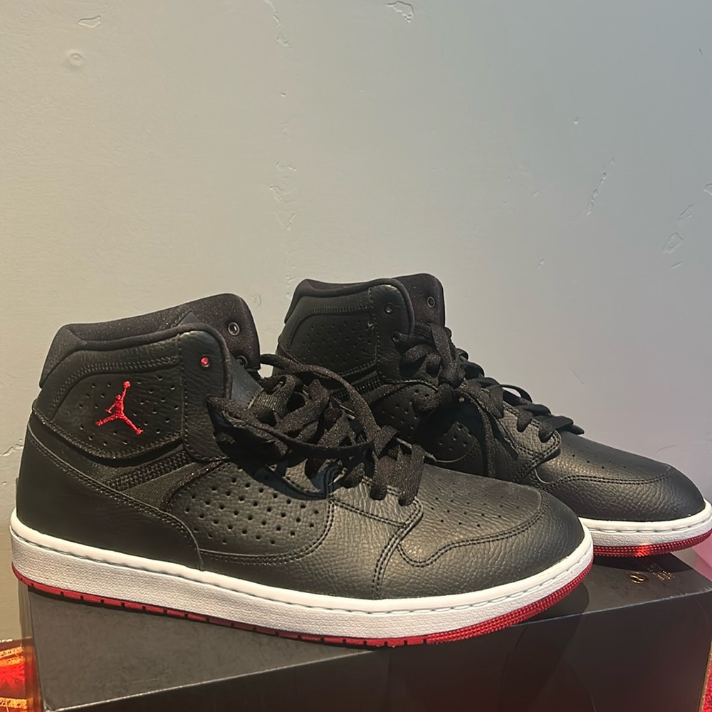 jordan access - brand new